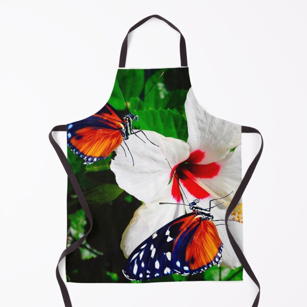 Artikelvorschau, Zwei Heliconius hecate-Schmetterlinge bestäuben eine Hibiskusblüte entworfen und verkauft von Peter Etchells.