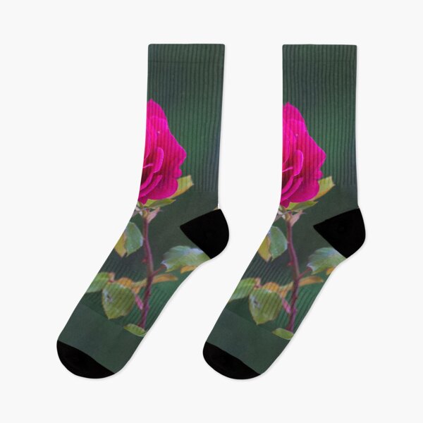 Item preview, rose in Military Academy gardens. designed and sold by Tereza Pilar  Art.