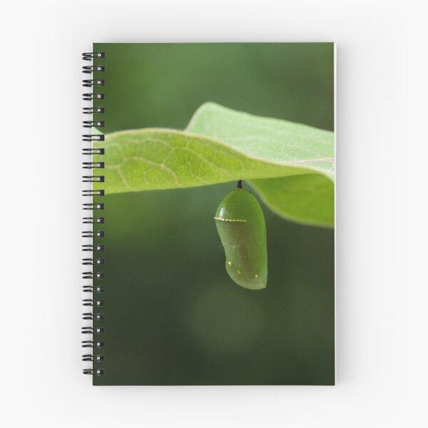 Item preview, Monarch Butterfly Chrysalis on Milkweed Leaf designed and sold by kkmarais.