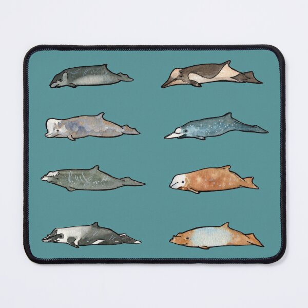Item preview, Beaked Whale Species designed and sold by AJk6cr.
