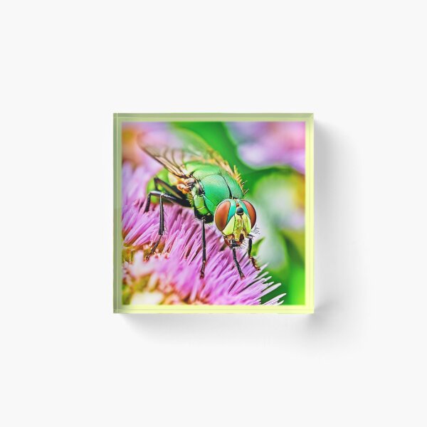 Item preview, Green Fly Macro designed and sold by Health And Fitness Posts e-Store.