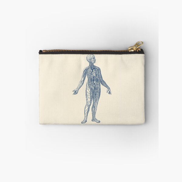 Item preview, Human Vascular System Diagram designed and sold by VAposters.