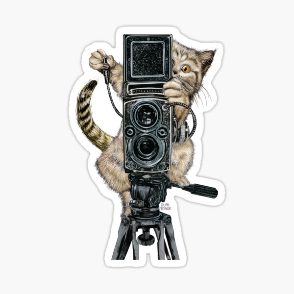 Cat Photographer- Catographer Sticker