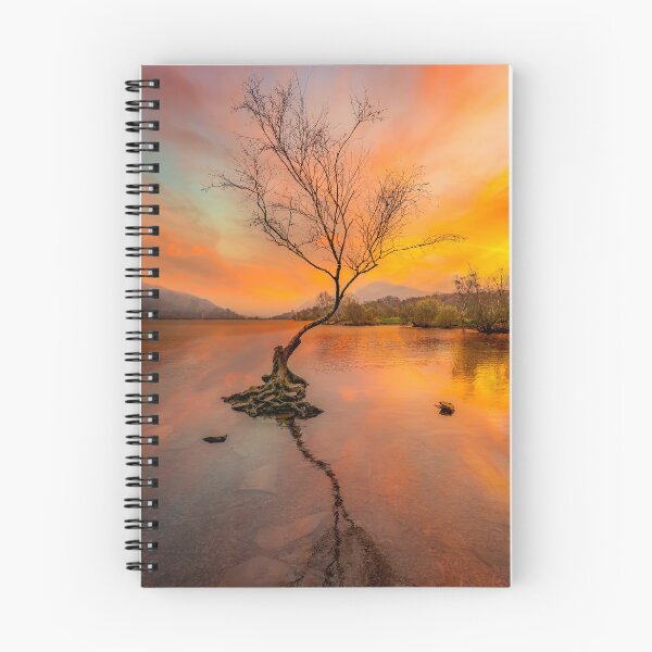 Item preview, Llanberis Lake Lone Tree Snowdonia designed and sold by AJEvans.