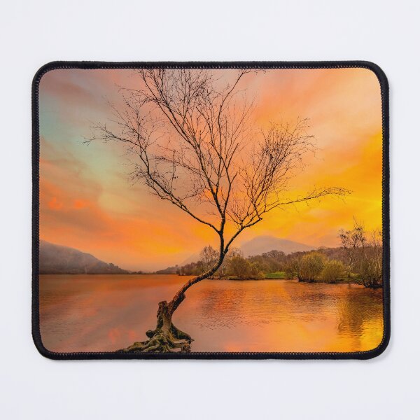 Item preview, Llanberis Lake Lone Tree Snowdonia designed and sold by AJEvans.