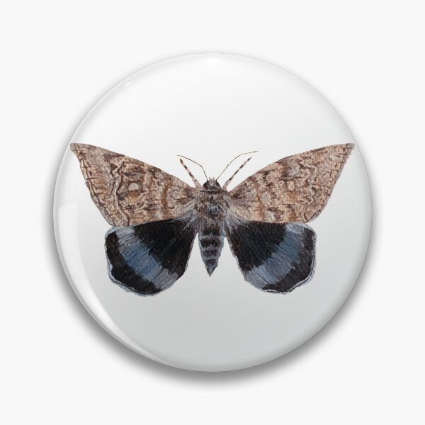 Item preview, blue underwing moth designed and sold by kaitlynyaru.art.