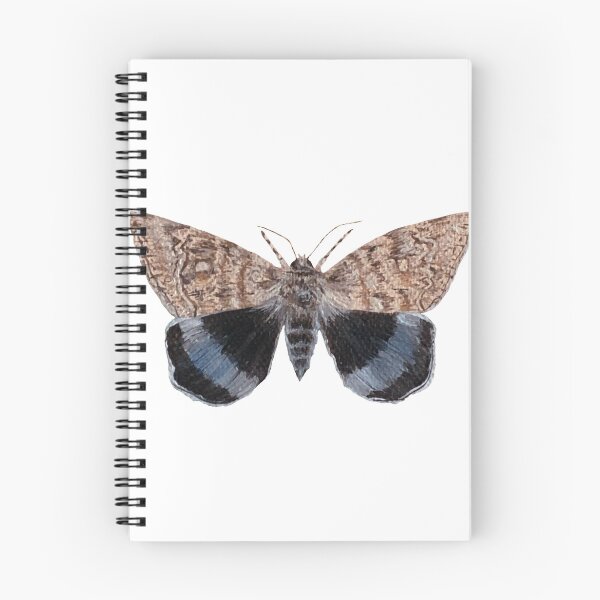 Item preview, blue underwing moth designed and sold by paintedpalette3.