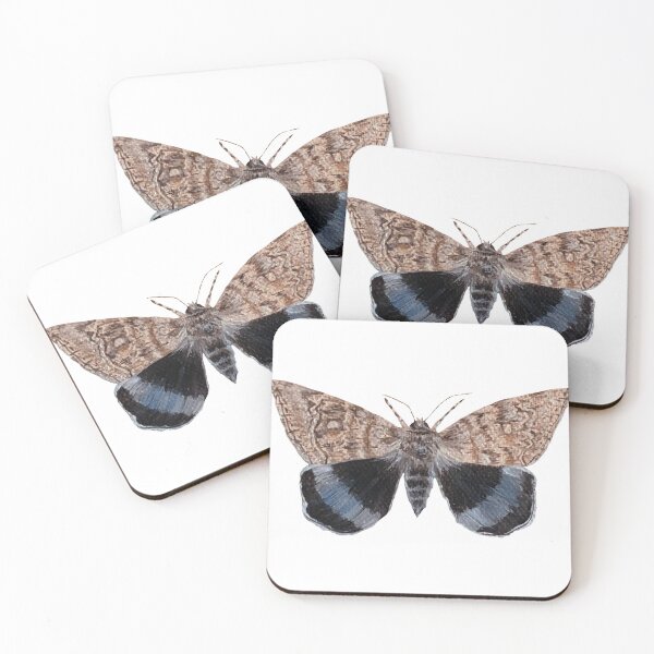 Item preview, blue underwing moth designed and sold by kaitlynyaru.art.
