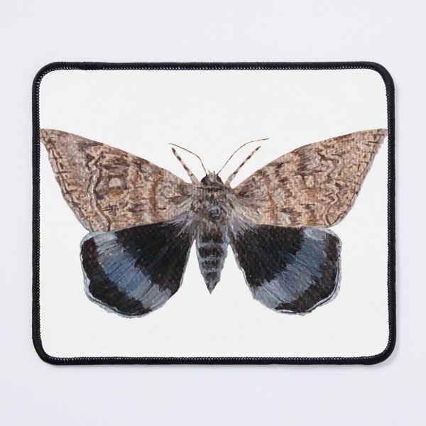 Item preview, blue underwing moth designed and sold by kaitlynyaru.art.