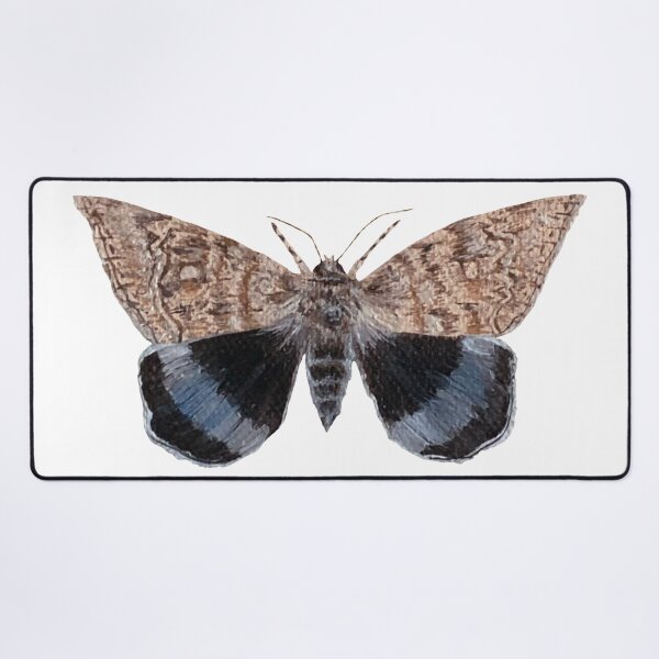 Item preview, blue underwing moth designed and sold by paintedpalette3.
