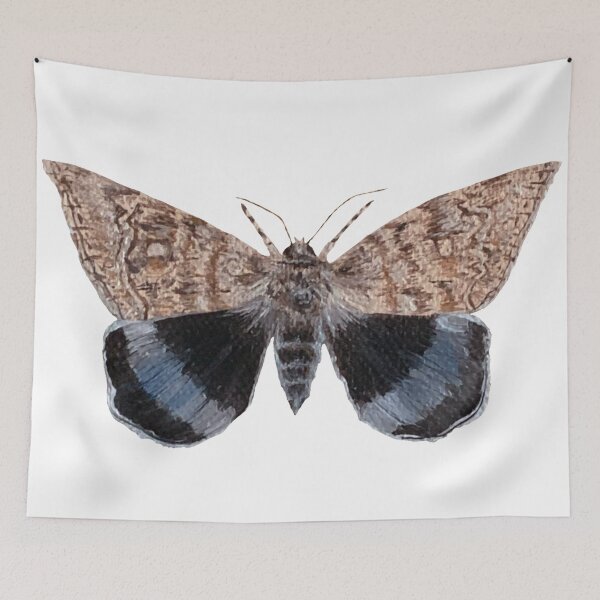 Item preview, blue underwing moth designed and sold by kaitlynyaru.art.