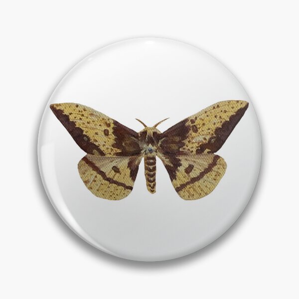 Item preview, imperial silk moth designed and sold by paintedpalette3.