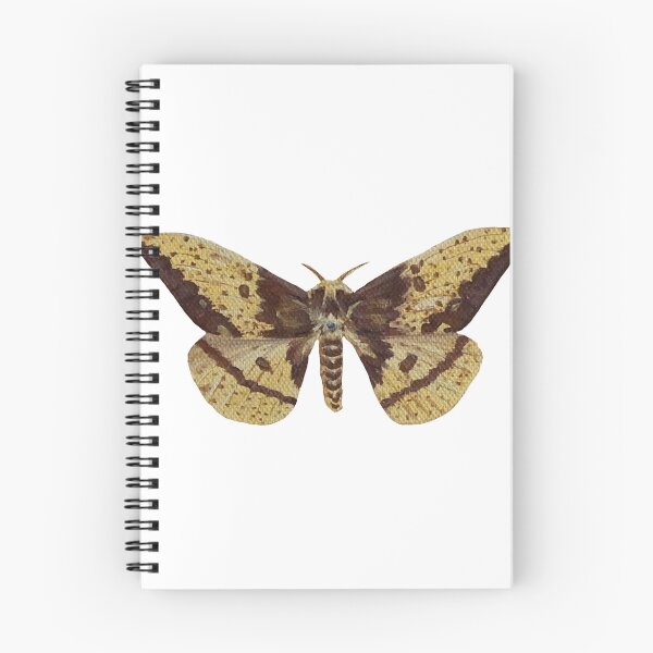 Item preview, imperial silk moth designed and sold by paintedpalette3.