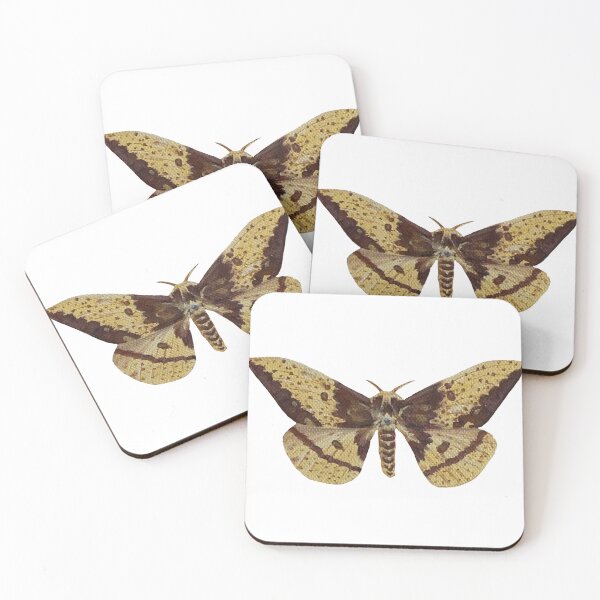 Item preview, imperial silk moth designed and sold by kaitlynyaru.art.
