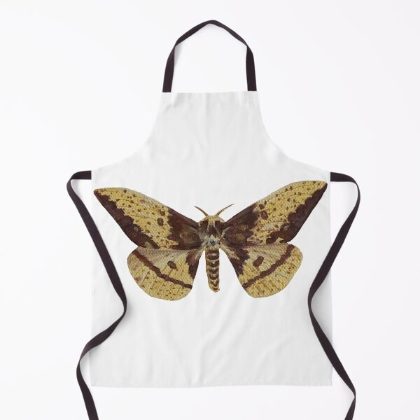 Item preview, imperial silk moth designed and sold by kaitlynyaru.art.