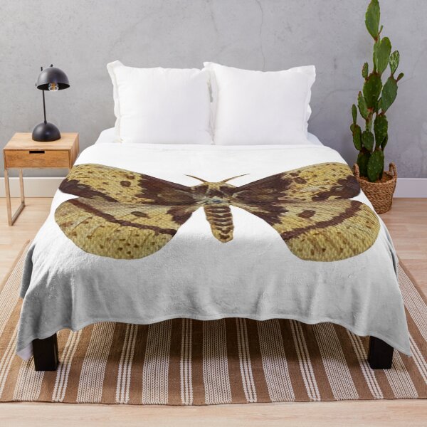 Item preview, imperial silk moth designed and sold by paintedpalette3.
