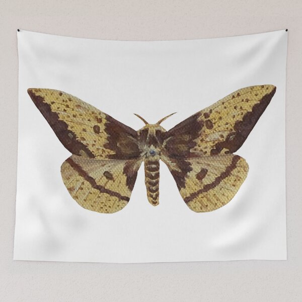 Item preview, imperial silk moth designed and sold by kaitlynyaru.art.
