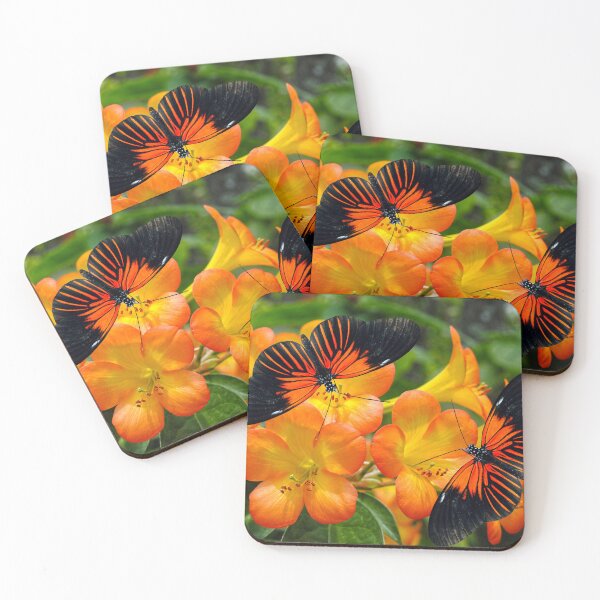 Item preview, Tropical Rhododendron simbu sunset flowers with two Doris Longwing designed and sold by Peter Etchells.
