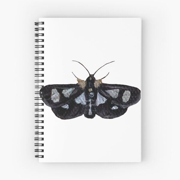 Item preview, eight-spotted forester moth designed and sold by paintedpalette3.