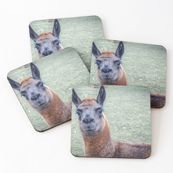 Item preview, Alpaka designed and sold by fototime.uk.