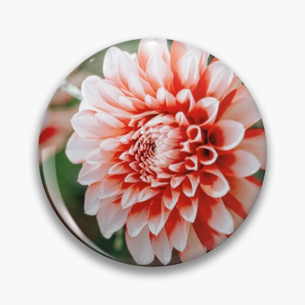 Item preview, Recording concep photos (Flower) designed and sold by rlagmldl.