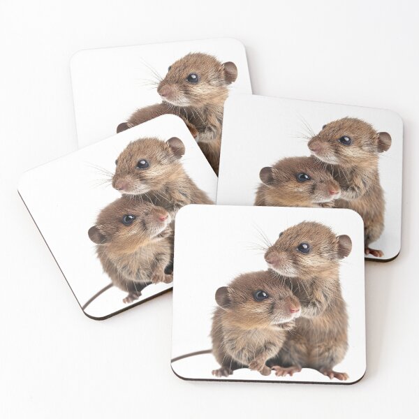 Item preview, Tiny Whiskers: Gentle Shrew Siblings designed and sold by prehistoricco.