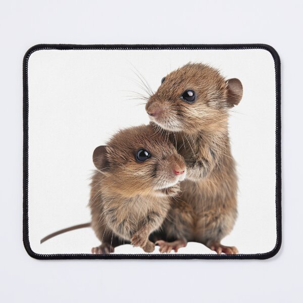 Item preview, Tiny Whiskers: Gentle Shrew Siblings designed and sold by prehistoricco.