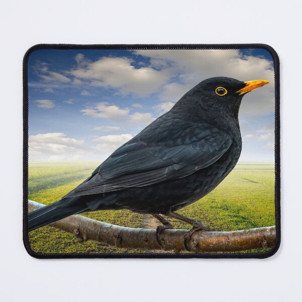 Item preview, Mr Blackbird UK designed and sold by AJEvans.