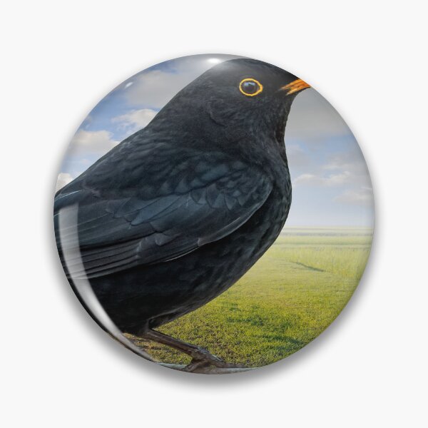 Item preview, Mr Blackbird UK designed and sold by AJEvans.