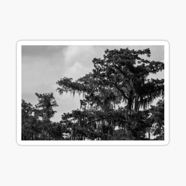 Item preview, Spanish Moss designed and sold by biscuitduff.