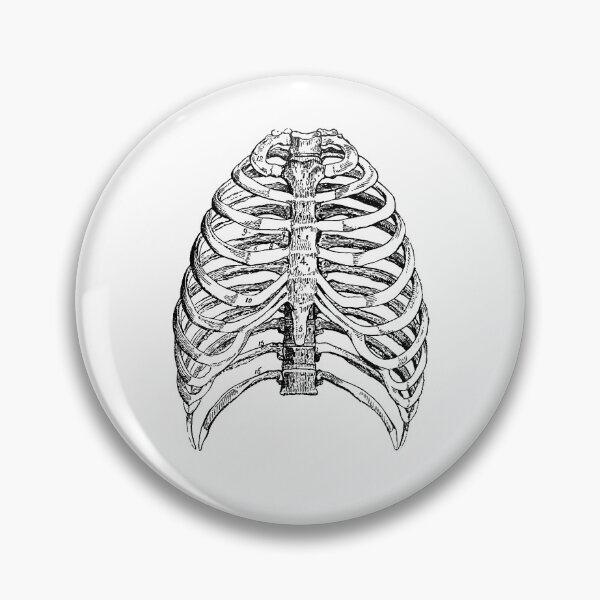 Item preview, Anatomical vintage drawing rib cage designed and sold by perfektdesign.