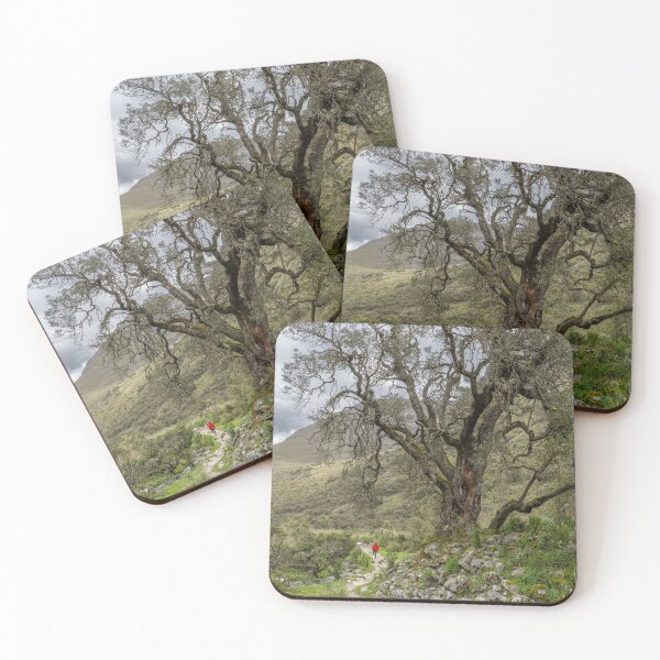 Item preview, Mighty Tree designed and sold by Julie Navitka.