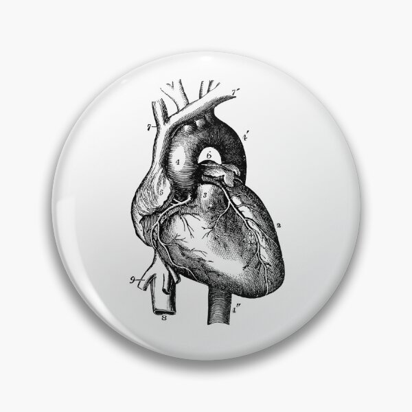 Item preview, Anatomical vintage drawing heart designed and sold by perfektdesign.