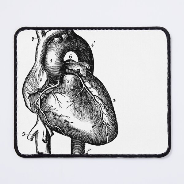 Item preview, Anatomical vintage drawing heart designed and sold by perfektdesign.