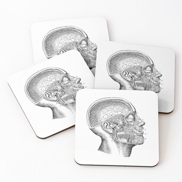 Item preview, Anatomical vintage drawing skull designed and sold by perfektdesign.