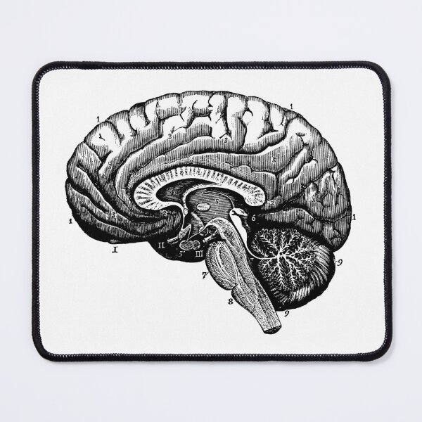 Item preview, Anatomical vintage drawing brain designed and sold by perfektdesign.