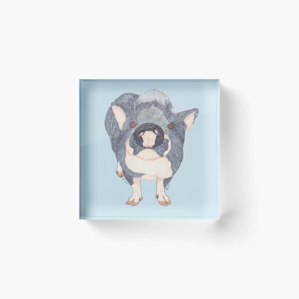 Item preview, POT BELLIED PIG designed and sold by BeritValk.