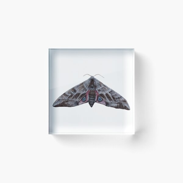 Item preview, eyed hawk moth designed and sold by paintedpalette3.