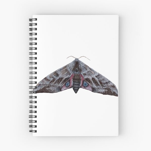 Item preview, eyed hawk moth designed and sold by paintedpalette3.