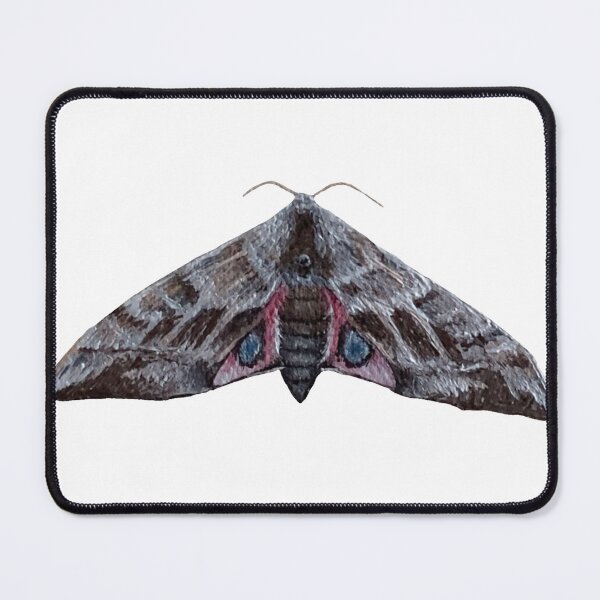 Item preview, eyed hawk moth designed and sold by kaitlynyaru.art.
