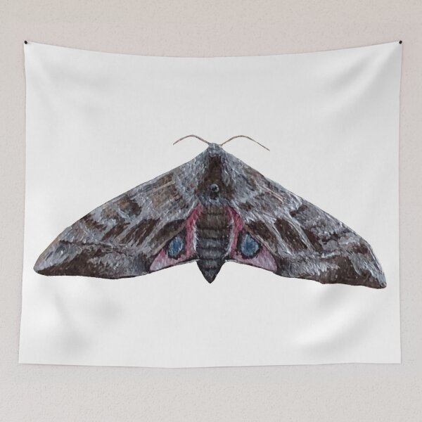 Item preview, eyed hawk moth designed and sold by kaitlynyaru.art.