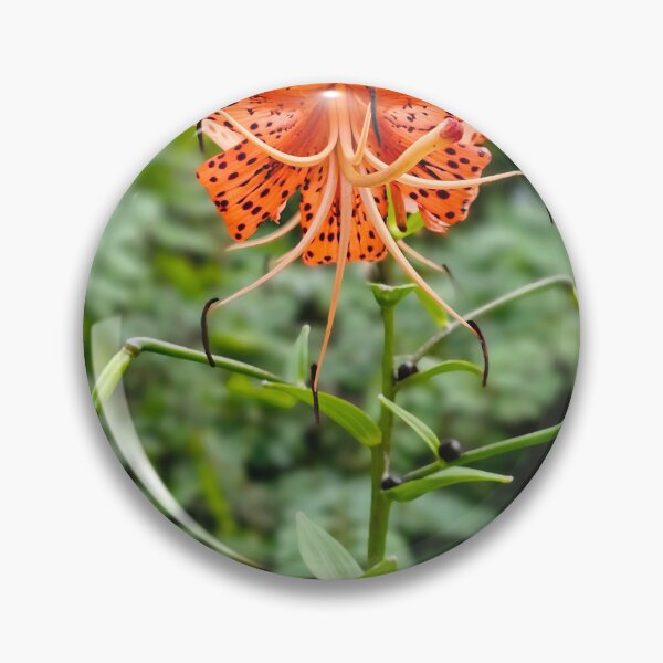 Item preview, Tiger lily designed and sold by LionARTE.