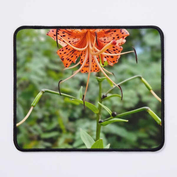 Item preview, Tiger lily designed and sold by LionARTE.