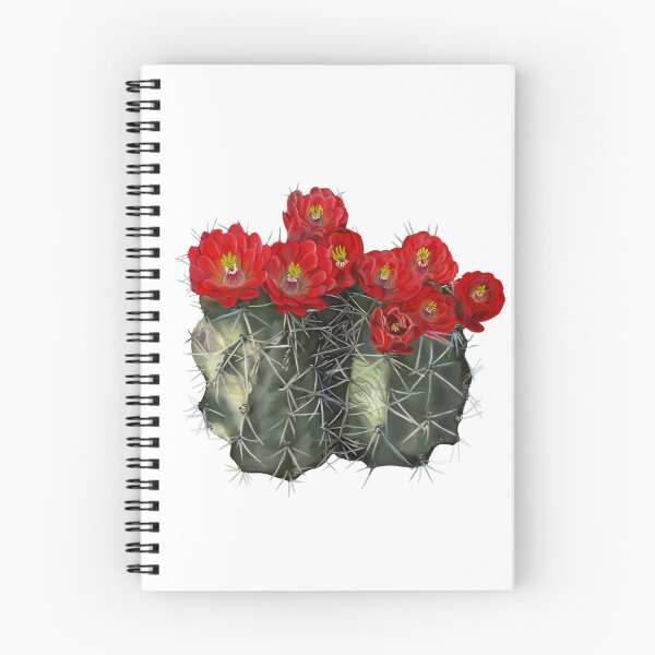 Item preview, Claret Cup Cactus Flower designed and sold by Wondersofwhimsy.