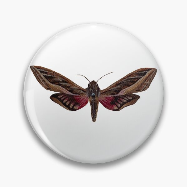 Item preview, silver striped hawk moth designed and sold by paintedpalette3.