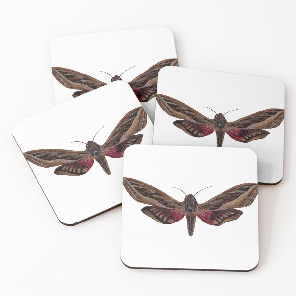 Item preview, silver striped hawk moth designed and sold by kaitlynyaru.art.
