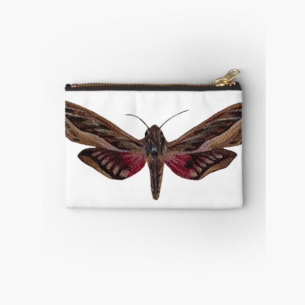 Item preview, silver striped hawk moth designed and sold by paintedpalette3.