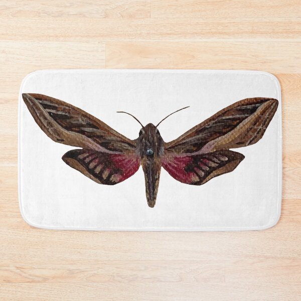Item preview, silver striped hawk moth designed and sold by kaitlynyaru.art.