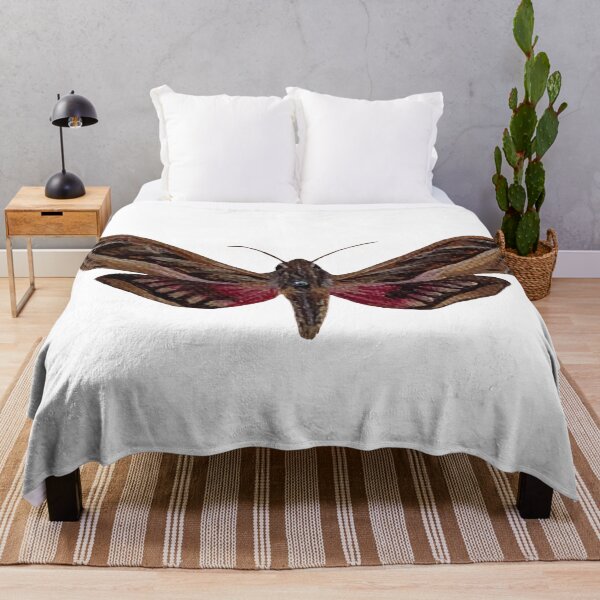 Item preview, silver striped hawk moth designed and sold by paintedpalette3.