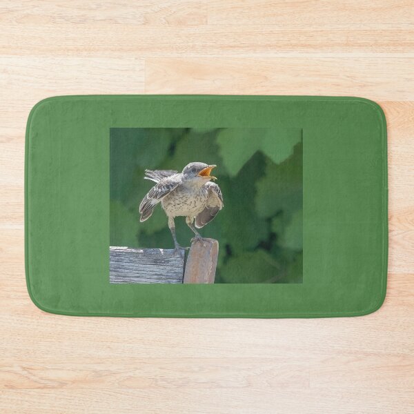 Item preview, Mockingbird Fledgling Squawking For Mom  designed and sold by CarolM.
